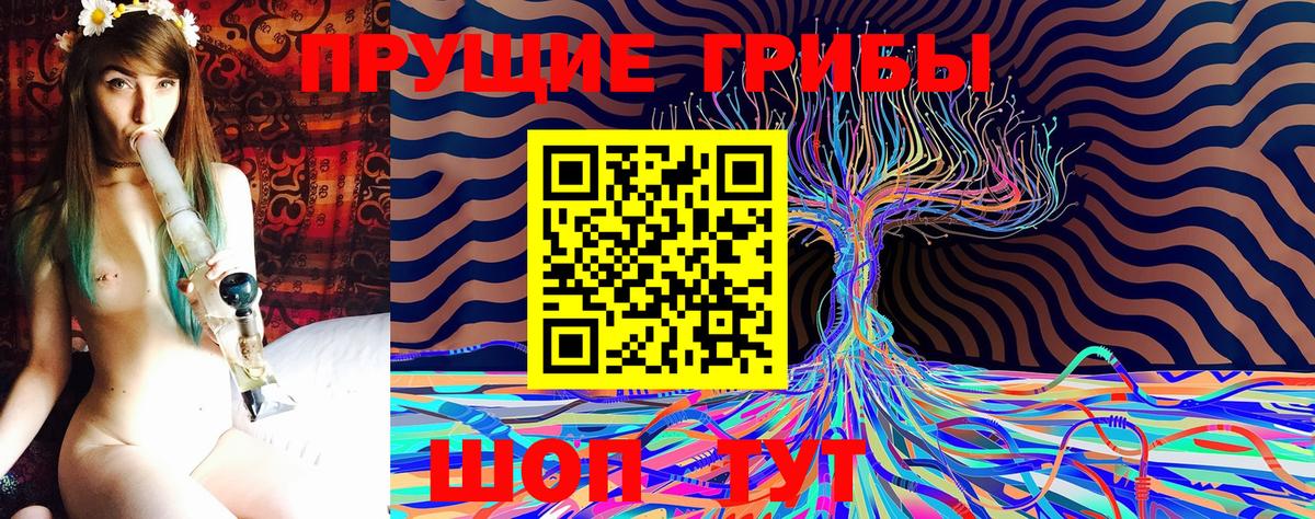 Псилоцибиновые грибы Psilocybine cubensis Бор