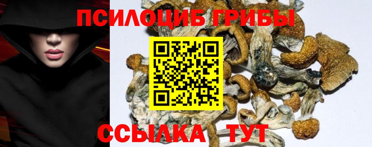 Псилоцибиновые грибы прущие грибы  Псилоцибиновые грибы Psilocybine cubensis  Вход с VPN  Бор 